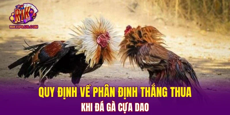 Quy định về phân định thắng thua khi đá gà cựa dao