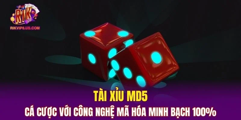 Tài Xỉu MD5